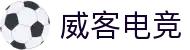 威客电竞(vkgame)-为竞技而生"