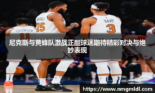 尼克斯与黄蜂队激战正酣球迷期待精彩对决与绝妙表现